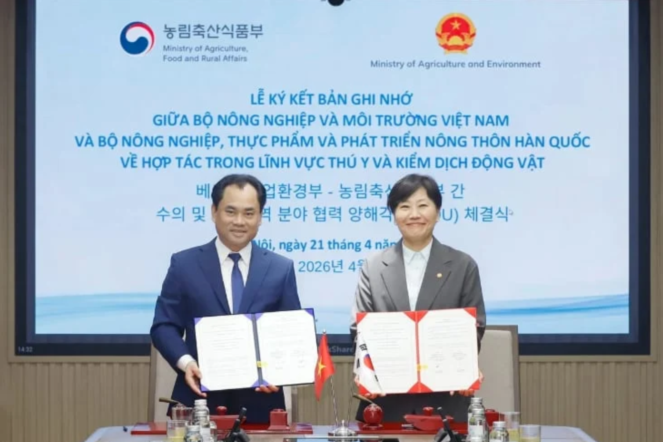 Viet Nam, RoK open market for processed chicken meat